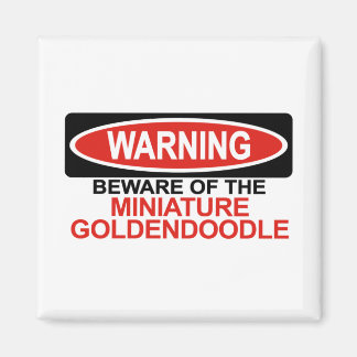 Imán Cuidado Con La Miniatura Goldendoodle
