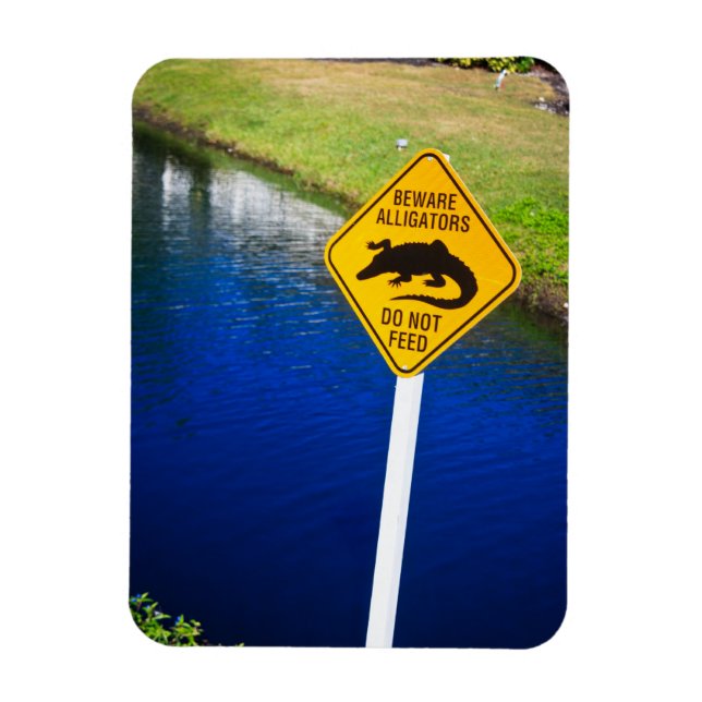 Imán Cuidado Con Los Aligadores No Alimentan (Vertical)