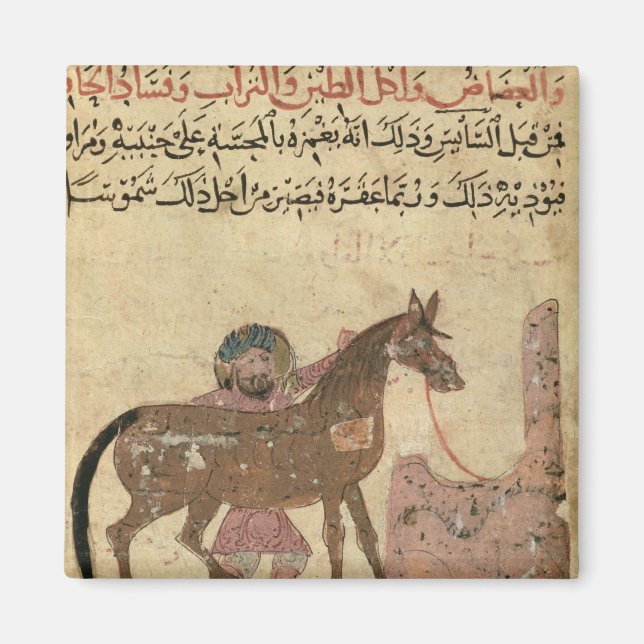 Imán Cuidando al caballo, ilustracion (Frente)
