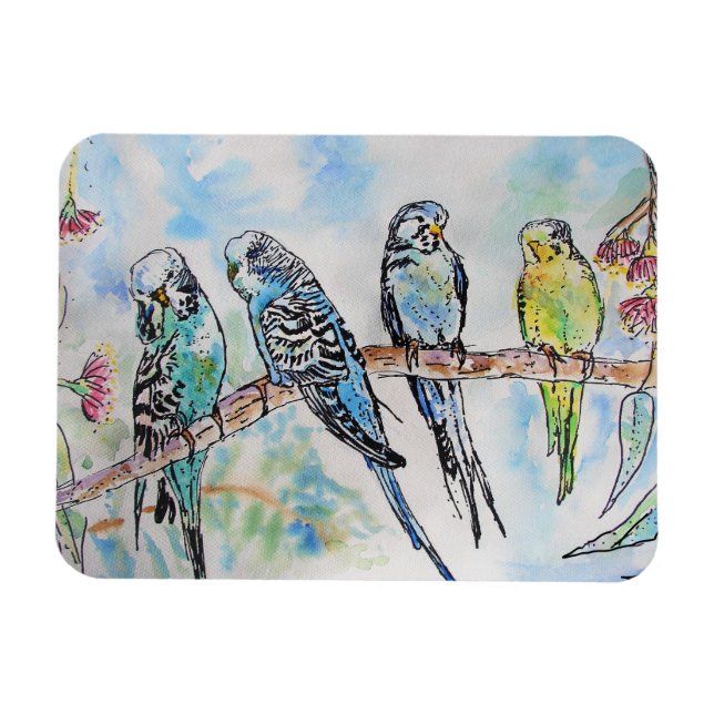 Imán Cuito Budgie budgies ave Watercolor Art Magnet (Horizontal)