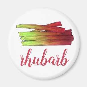 Imán Culinary Rhubarb Stalks Vegetable Garden Food Veg