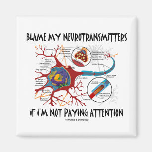 Imán Culpen A Mis Neurotransmisores Si No Prestan Atenc
