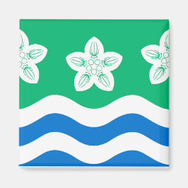 Imán Cumberland (condado del Reino Unido)