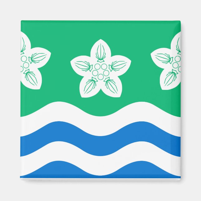 Imán Cumberland (condado del Reino Unido) (Frente)