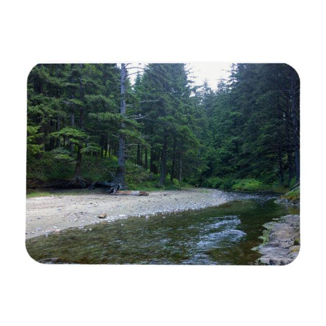 Imán Cummins Creek en el Parque Estatal Neptune, OR (Horizontal)