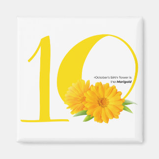 Imán cumpleaños feliz: flor de nacimiento de octubre Ma