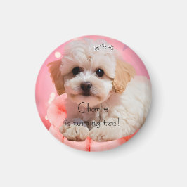 Imán Cumpleaños Perro Fiesta Vamos 