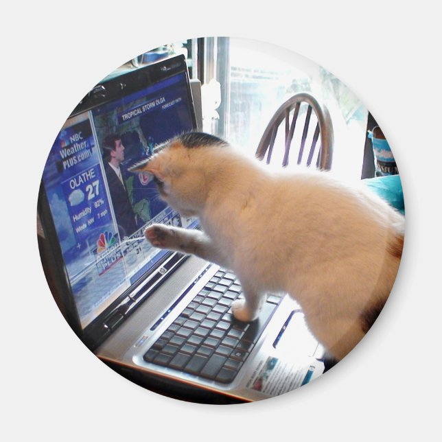 Imán Cumputer Cat Magnet (Frente)