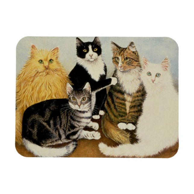 Imán Cuna del gato (Horizontal)