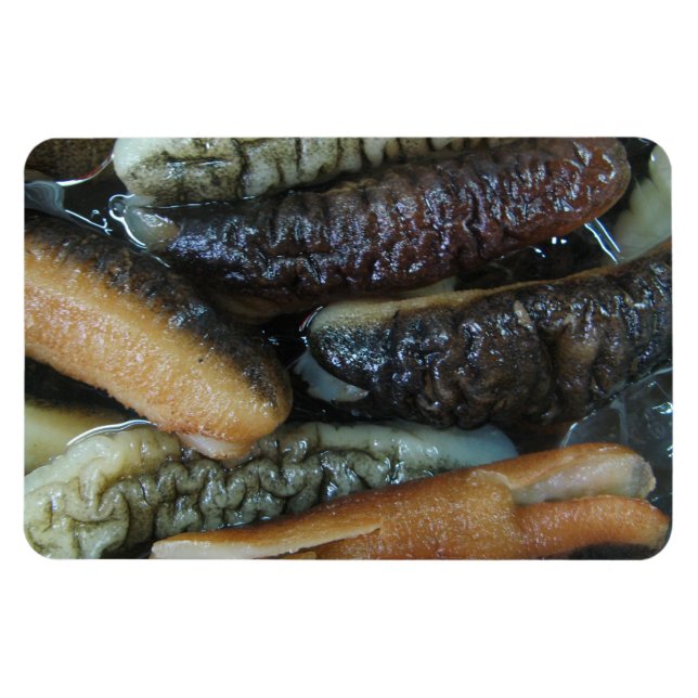 Imán Cupepino marino... Comida del mercado de Yaowarat (Horizontal)