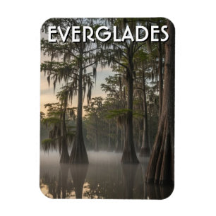 Imán Cúpula de cipreses Everglades Parque Nacional Flor