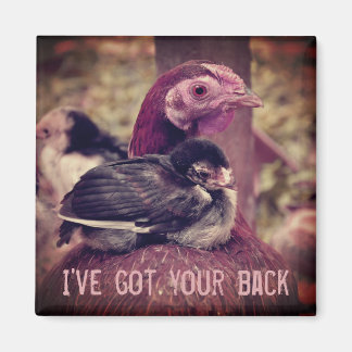 Imán Curiosa Madre Hen y Chick