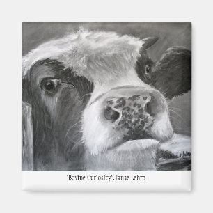 Imán Curiosidad bovina