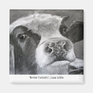 Imán Curiosidad Bovina