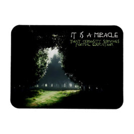 Imán Curiosidad: oferta Inspiradora flexible