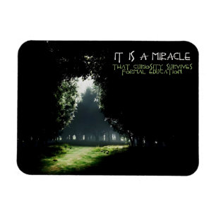 Imán Curiosidad: oferta Inspiradora flexible