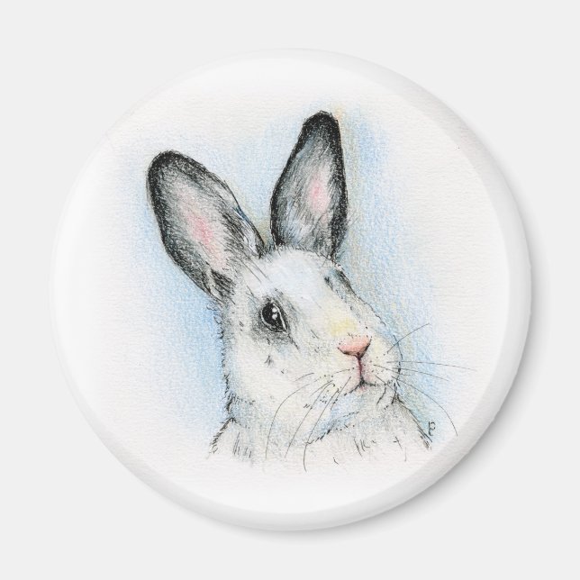 Imán Curioso (Frente)