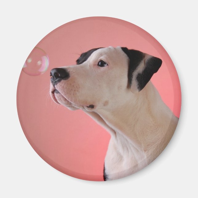 Imán Curioso elemento emergente (Frente)