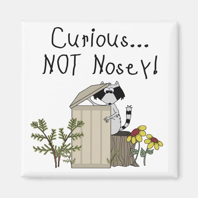 Imán Curioso mapache (Frente)