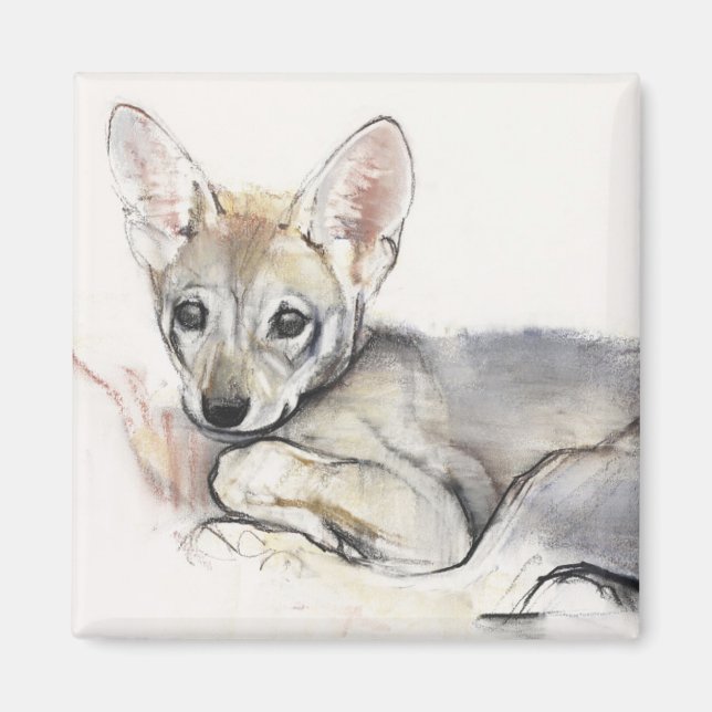 Imán Curled Arabian Wolf Pup 2009 (Frente)