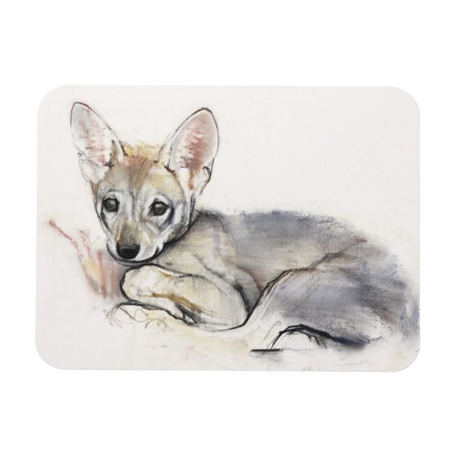 Imán Curled Arabian Wolf Pup 2009 (Horizontal)