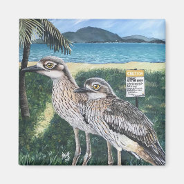 Imán Curlew's de Townsville Strand