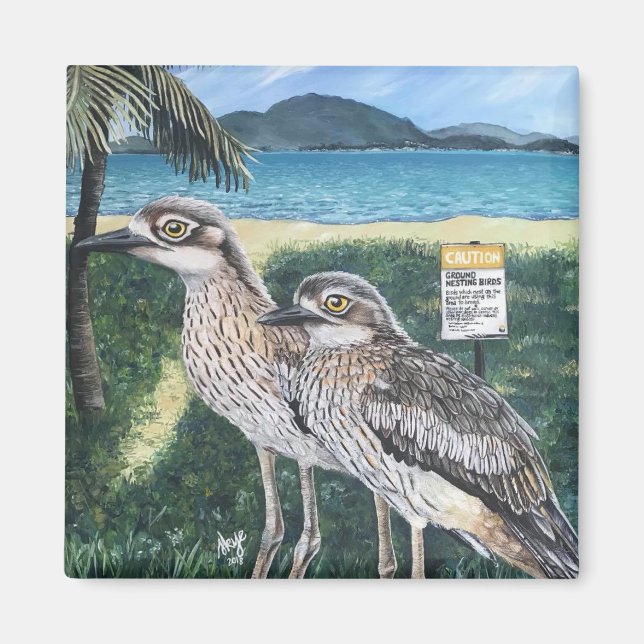 Imán Curlew's de Townsville Strand (Frente)