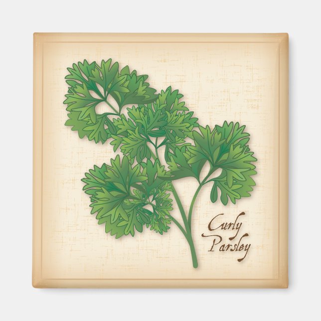 Imán Curly Parsley Herb (Frente)