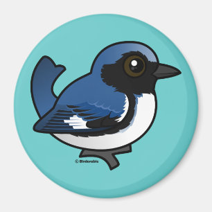 Imán curruca azul Negro-throated