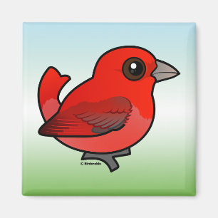 Imán Curte Summer Tanager