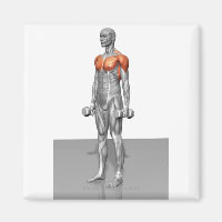 Curva de Biceps en pie