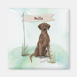 Imán Custom Name Chocolate Lab Pet Dog
