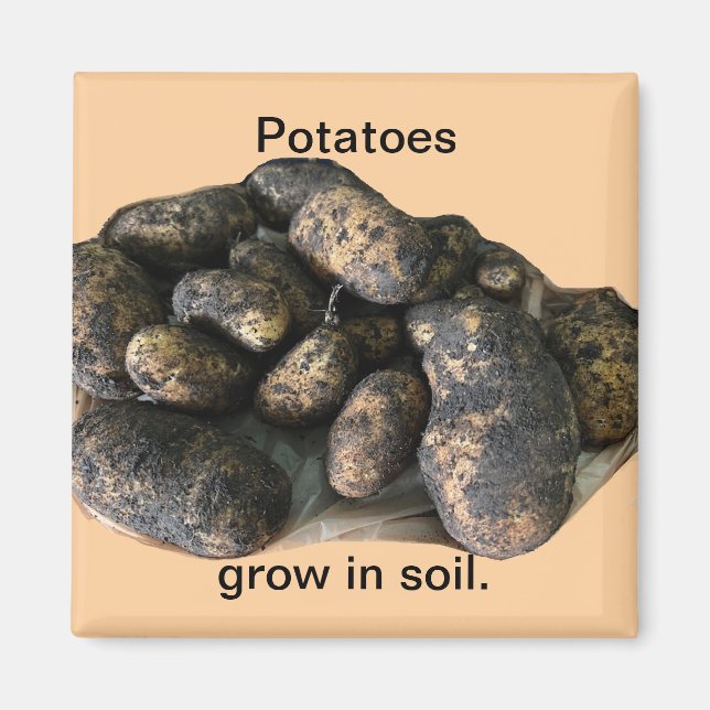 Imán Custom Potato Magnets, harvested (Frente)