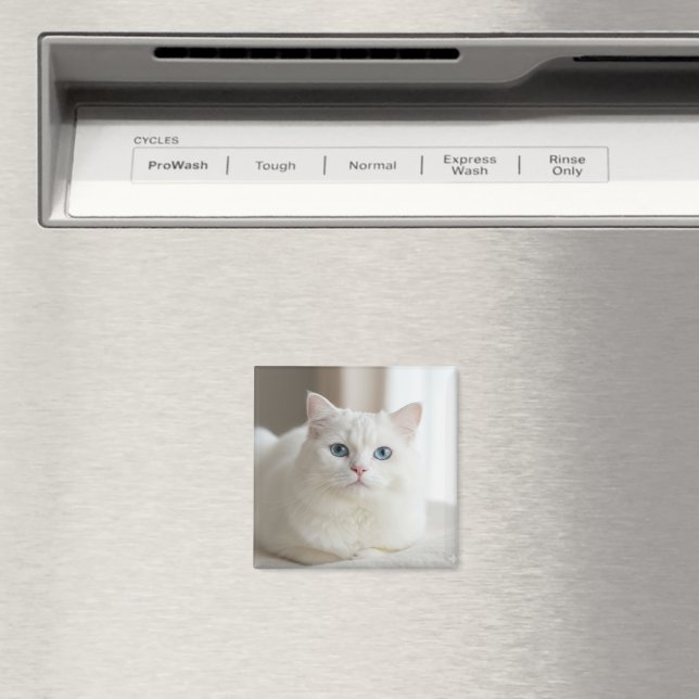 Imán Custom white cat photo magnet for fridge (In situ (lavavajillas))