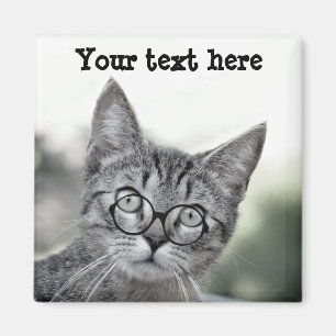 Imán Cute and Surprised Cat with Glasses Magnet