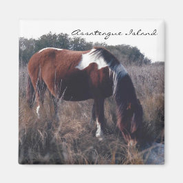 Imán Cute Assateague Mare - Magnet