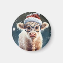 Cute bebé vaca Highland en la nieve