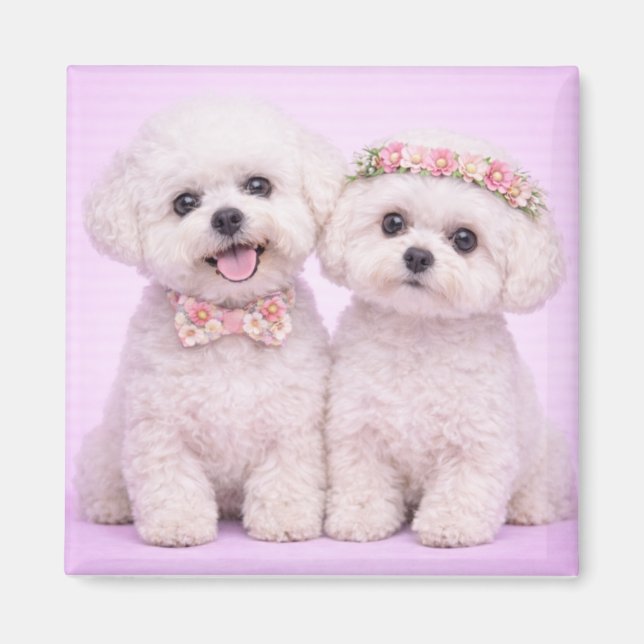 Imán Cute Bichon Frise Couple Valentine Illustration (Frente)