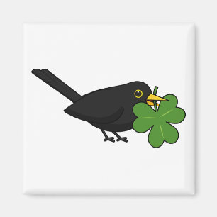 Imán Cute Blackbird con Shamrock Clover Personalizado