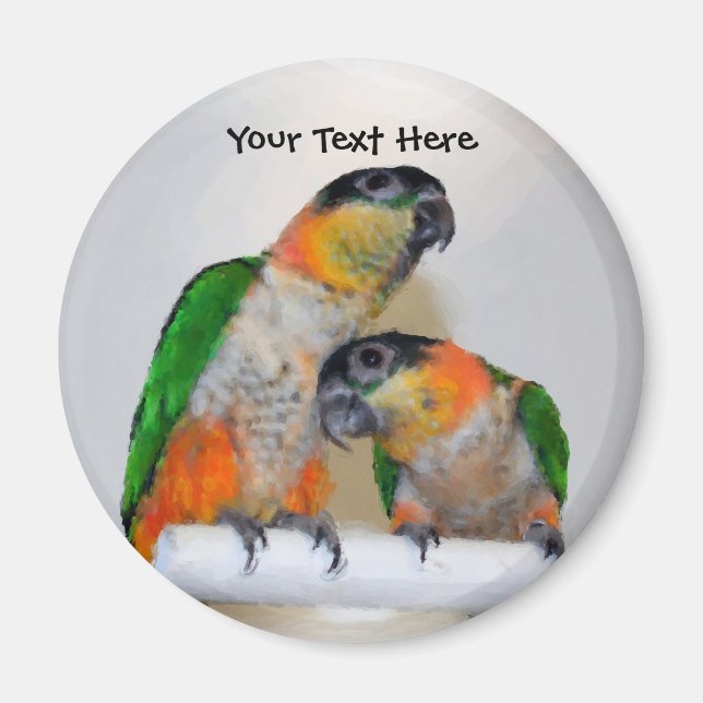 Imán Cute Caique Parrot Parrot Animal Magnet (Frente)