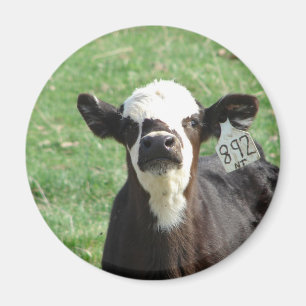 Imán Cute Calf