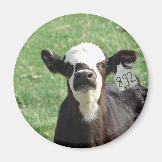 Imán Cute Calf (Frente)