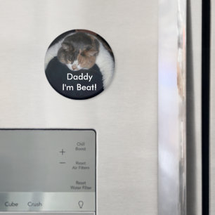 Imán Cute Calico Dormiendo Gato Sobre Hombro