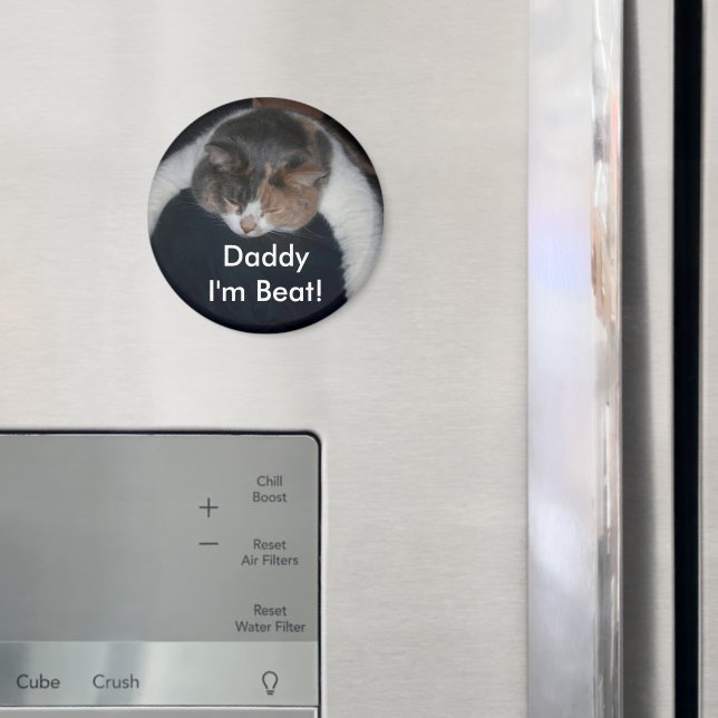 Imán Cute Calico Dormiendo Gato Sobre Hombro (In situ (nevera))