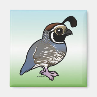 Imán Cute California Quail