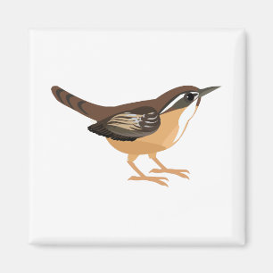 Imán Cute Carolina Wren