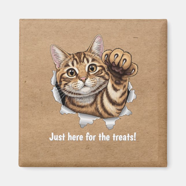 Imán Cute Cat Magnet - Just here for the treats! (Frente)