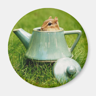 Imán Cute Chipmunk en Tetera