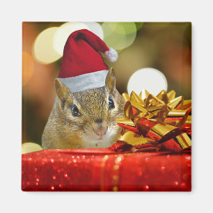 Imán Cute Chipmunk Merry Christmas