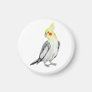 Imán Cute Cockatiel Watercolor Parrot.